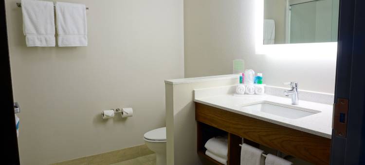 奥马哈智选假日套房酒店-米拉德区(Holiday Inn Express & Suites Omaha - Millard Area)图片