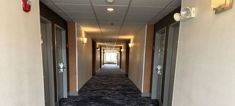 阿尔伯克基中城拉昆塔温德姆套房酒店(La Quinta Inn & Suites by Wyndham Albuquerque Midtown)图片