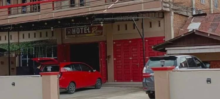 Kopay Hotel and Resto图片