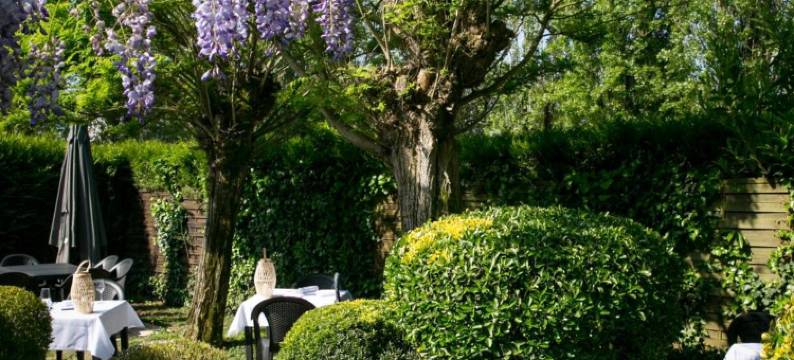 国际之家绿荫旅馆(Logis Auberge de l'ombrée)图片