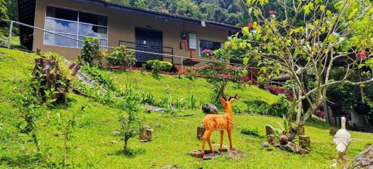 J 住宅(J Residence)图片