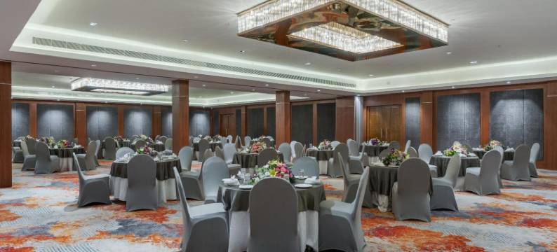 迈索尔南方之星酒店(Southern Star,Mysore)图片