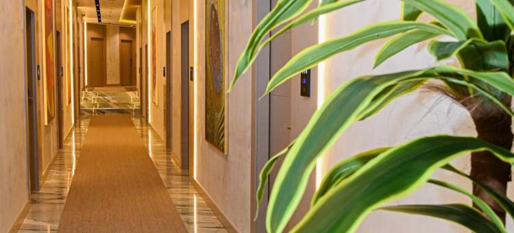 白山酒店(White Hill Hotel)图片