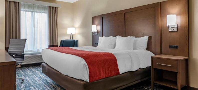 市中心舒适套房酒店-近大学(Comfort Inn & Suites Downtown Near University)图片