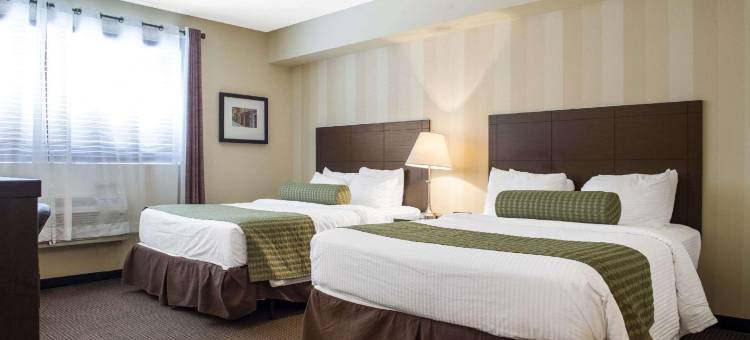 凯隆酒店和会议中心(Clarion Hotel & Conference Centre)图片