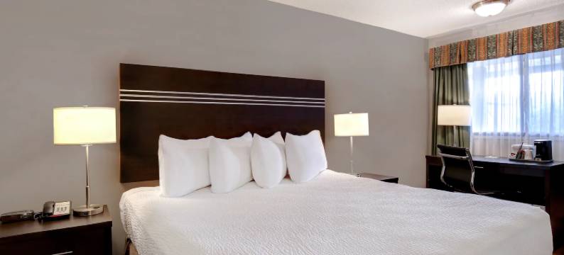 威农戴斯酒店(Days Inn by Wyndham Vernon)图片