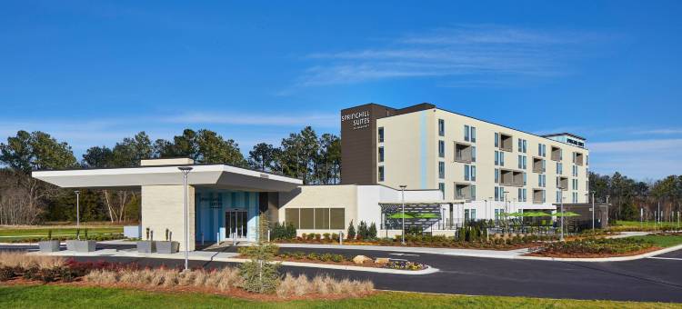 夏洛特卡罗温兹万豪SpringHill Suites酒店(SpringHill Suites Charlotte at Carowinds)图片