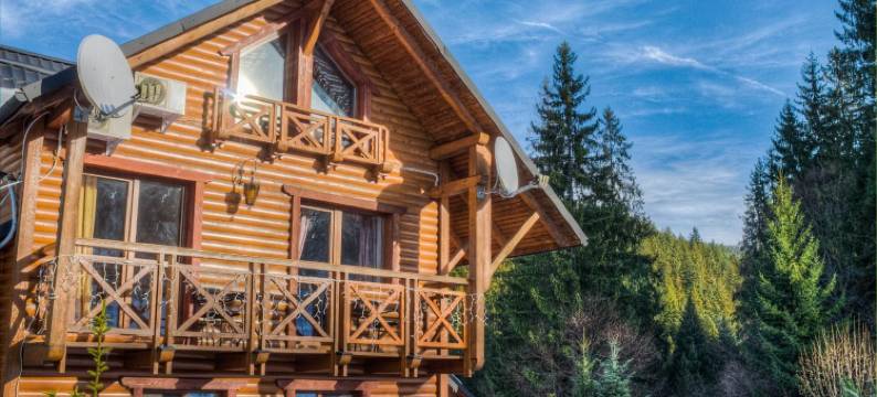 卡帕斯卡别墅(Karpatska Villa)图片