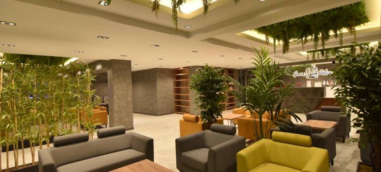 桑德尔酒店(Green Palace Suite Hotel)图片