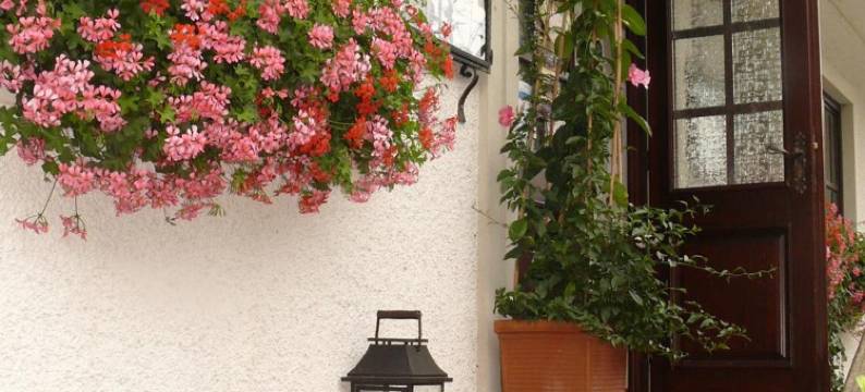 克劳斯旅馆(Gasthof-Pension Zur Klause)图片