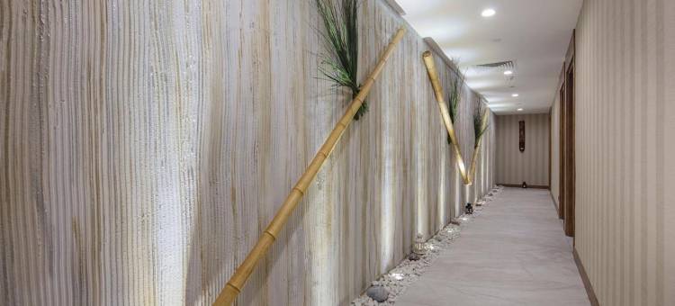 亚洛瓦希尔顿花园酒店(Hilton Garden Inn Yalova)图片