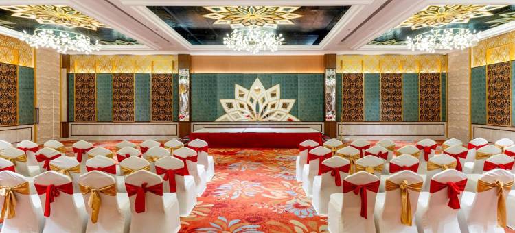 乌代布尔萨亚吉度假村及水疗中心(Sayaji Resort and Spa Udaipur)图片