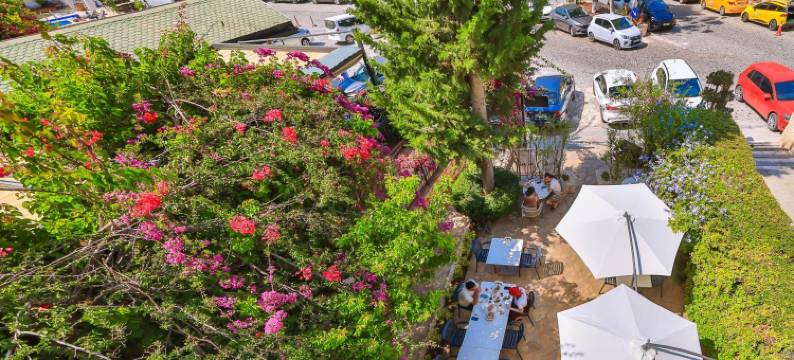 利维亚酒店(Livia Hotel Kaş)图片