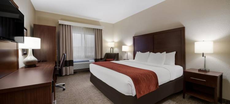 奥那拉斯加拉克罗斯区舒适酒店(Comfort Inn Onalaska - la Crosse Area)图片