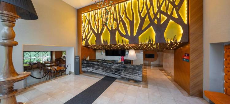 伊斯坦布尔亚洲卡瓦奇克丽柏酒店(Park Inn by Radisson Istanbul Asia Kavacik)图片