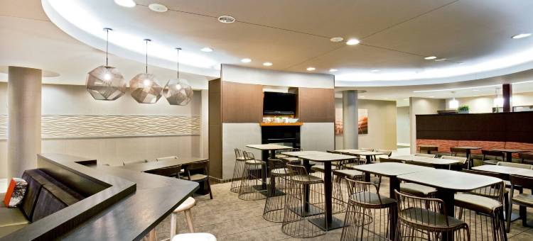 切萨皮克绿蔷薇SpringHill套房(SpringHill Suites Chesapeake Greenbrier)图片