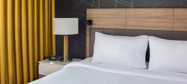 万豪新奥尔良仓库艺术区SpringHill套房(SpringHill Suites New Orleans Warehouse Arts District)图片