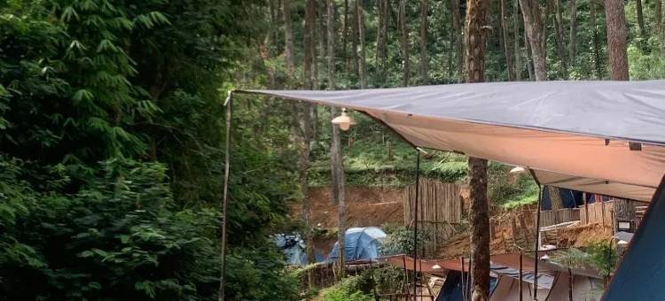 Pines Singkur Camp Riverside图片