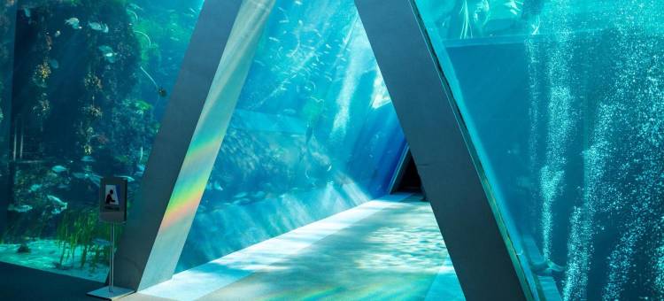 平豪景酒店(Taira View Hotel)图片