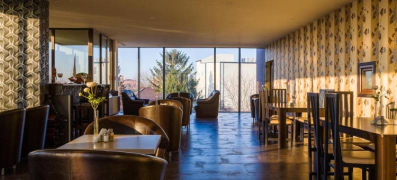 奥托佩尼宪章酒店(Hotel Charter Otopeni)图片