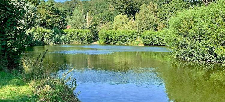 巴特尔斯旅馆(Bartles Lodge)图片