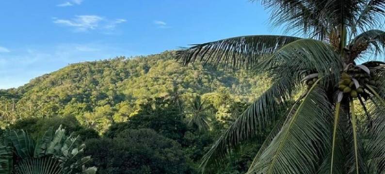 吉度假村(Gee Resort)图片