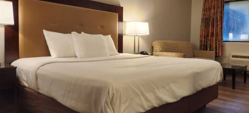 沃索的伊克诺旅馆套房(Econo Lodge Inn & Suites)图片