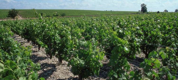 阿德吉奥阿克瑟斯波尔多南部佩萨克公寓酒店(Aparthotel Adagio Access Bordeaux Sud Pessac)图片