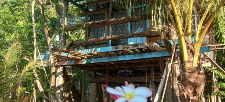 苏门答腊生态小屋(Sumatra Ecolodge)图片