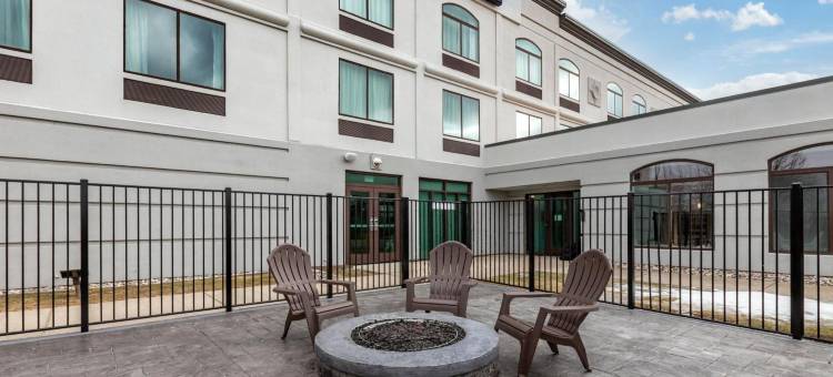 舒适套房酒店大布兰克/弗林特(Comfort Inn & Suites Grand Blanc-Flint)图片