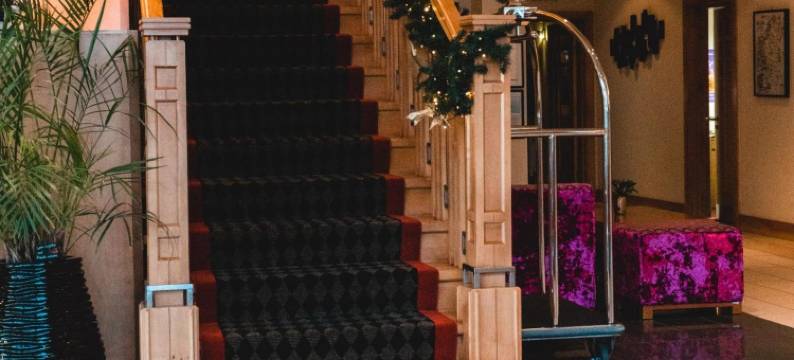 拉辛伍兹酒店(Raheen Woods Hotel)图片