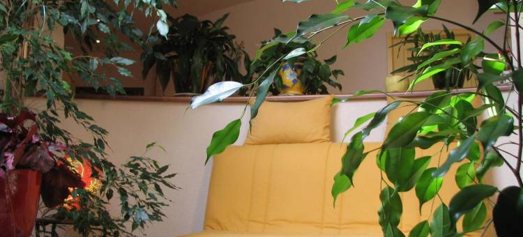 勒帕斯德安住宿加早餐旅馆(Le Pas de l'Ane Chambres d'hôtes)图片