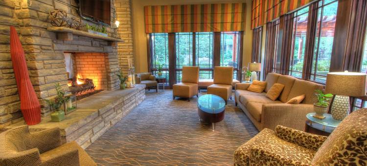 希尔顿花园旅馆-加特林堡(Hilton Garden Inn Gatlinburg)图片