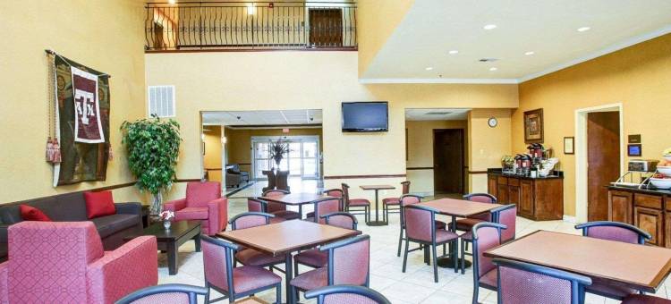 舒适套房酒店-德克萨斯大道(Comfort Suites Texas Ave)图片