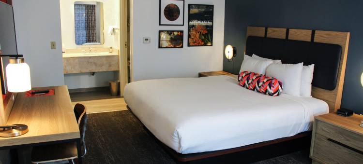 奥普里兰盖洛德酒店(The Inn at Opryland, A Gaylord Hotel)图片