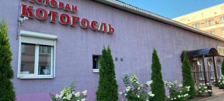 科托洛索酒店(Kotorosl Hotel)图片