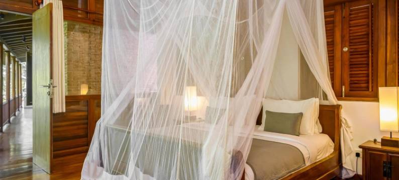 05号中街(No 05 Middle Street)图片