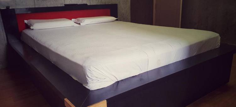 拉维玛雅国际酒店(Hotel Ravi Mayur International)图片
