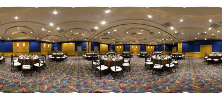 方迪多拉蒙特雷公园假日酒店(Holiday Inn Monterrey-Parque Fundidora)图片