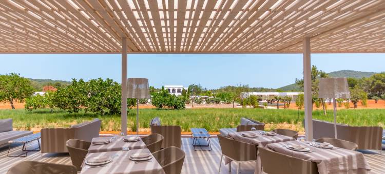 卡纳西卡Spa酒店(Ca Na Xica - Hotel & Spa)图片