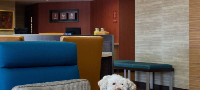 奥斯汀圆石TownePlace套房酒店(TownePlace Suites Austin Round Rock)图片