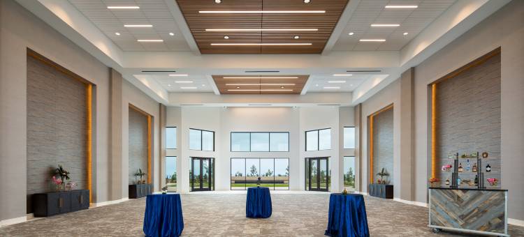 卡尔斯巴德威斯汀水疗度假村(The Westin Carlsbad Resort & Spa)图片