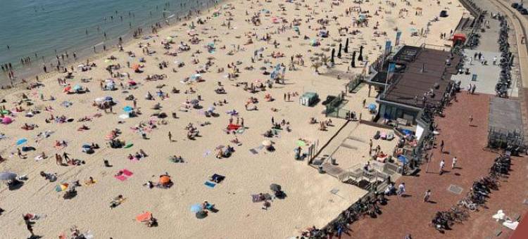 米德尔堡的德比伊(De Bij Middelburg)图片