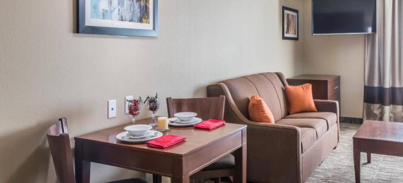 爱丁堡美茵斯坦套房酒店(MainStay Suites Edinburg South)图片