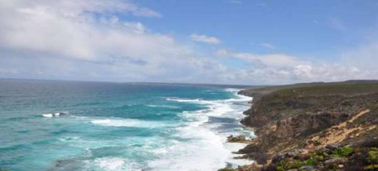 探索公园 - 袋鼠岛(Discovery Parks - Kangaroo Island)图片