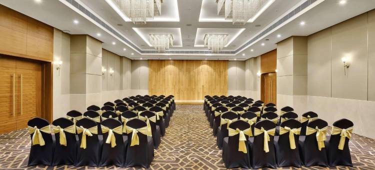 纳特德瓦拉丽笙酒店(Radisson Hotel Nathdwara)图片