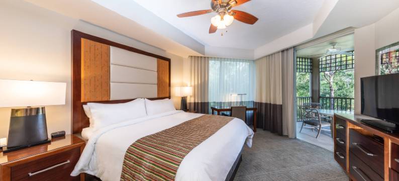 万豪帝国棕榈别墅酒店(Marriott's Imperial Palms Villas)图片