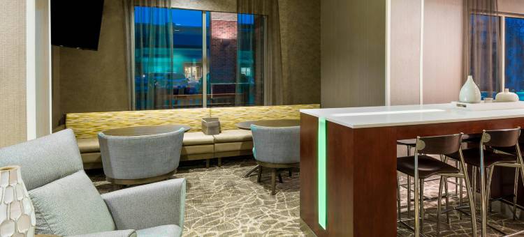 印第安纳波利斯卡梅尔万豪SpringHill酒店(SpringHill Suites Indianapolis Carmel)图片