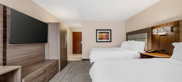 智选假日套房酒店纳什维尔口岸(Holiday Inn Express & Suites Nashville Southeast - Antioch)图片