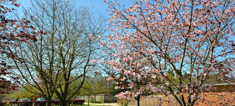 小布洛克农庄酒店(Little Bullocks Farm)图片